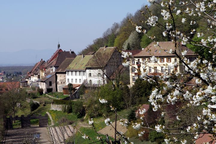 Vue de Ferrette depuis le Felseneck